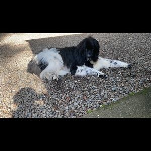 Meet your Posher, Teresa